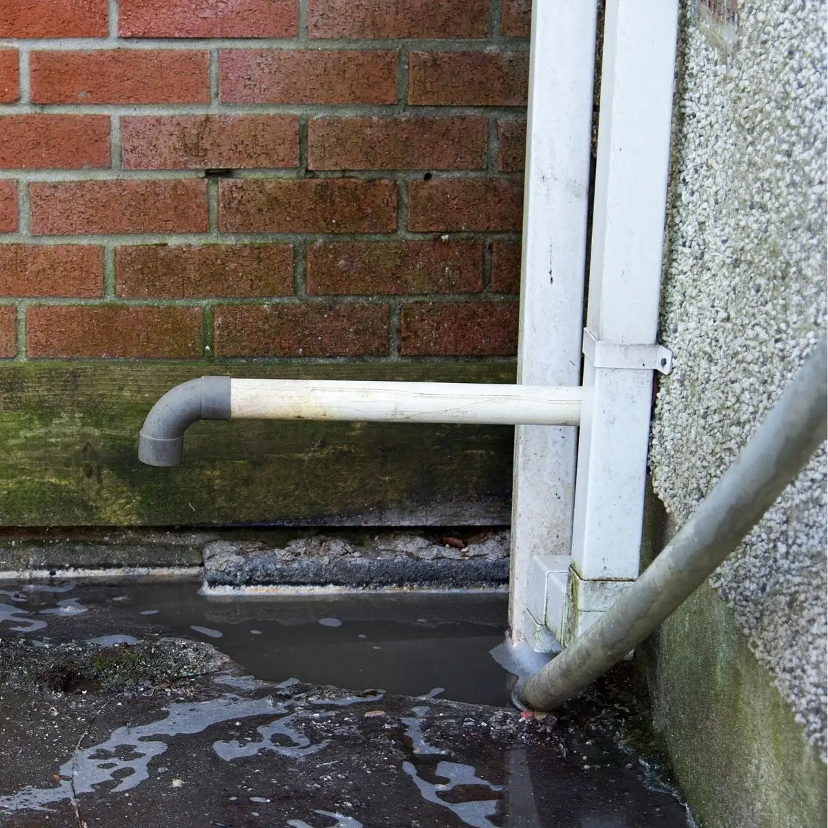 Blocked drain Sydney services by Pro Plumbing Solutions