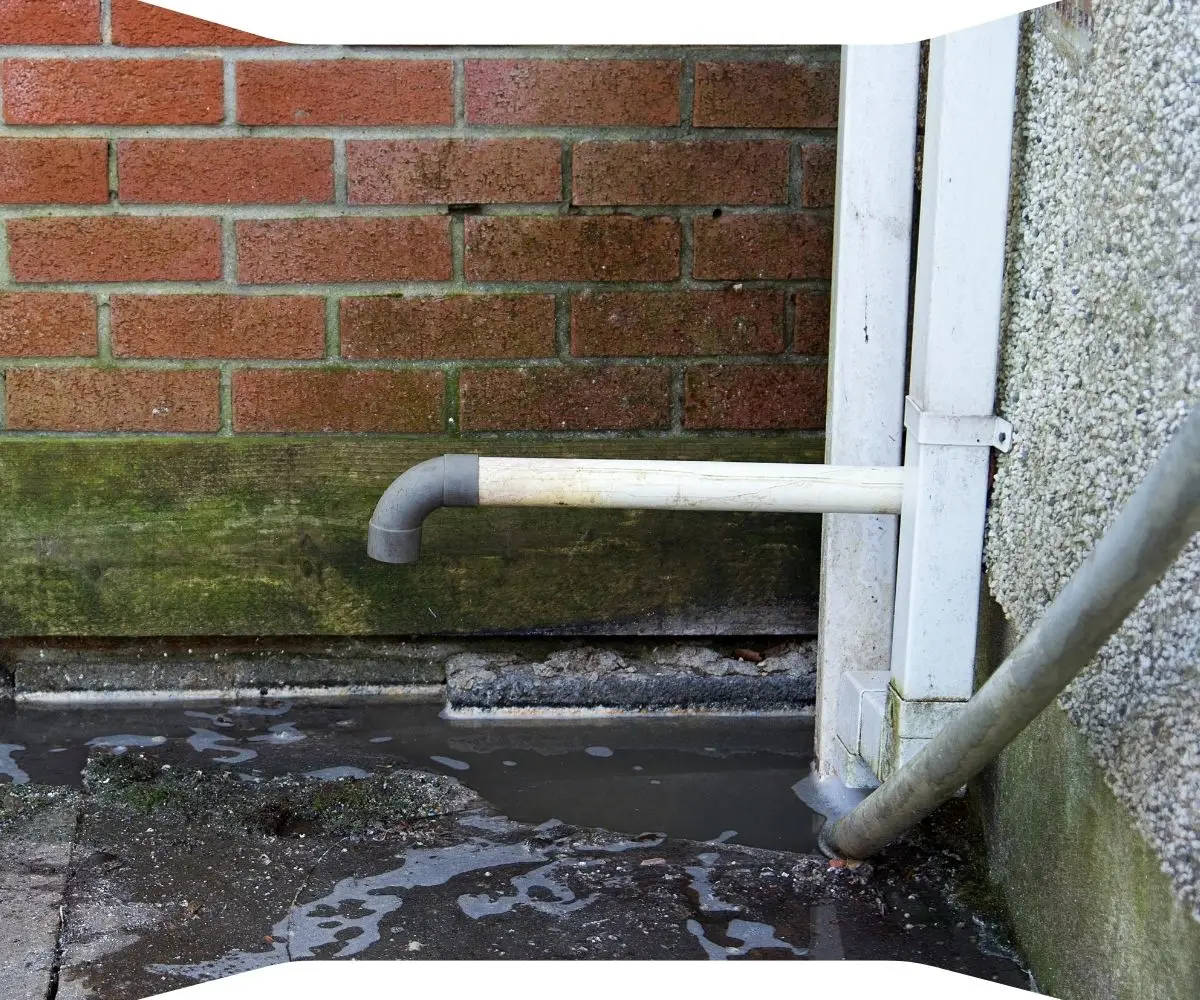 Plumber in Sydney fixing and repairing blocked drains