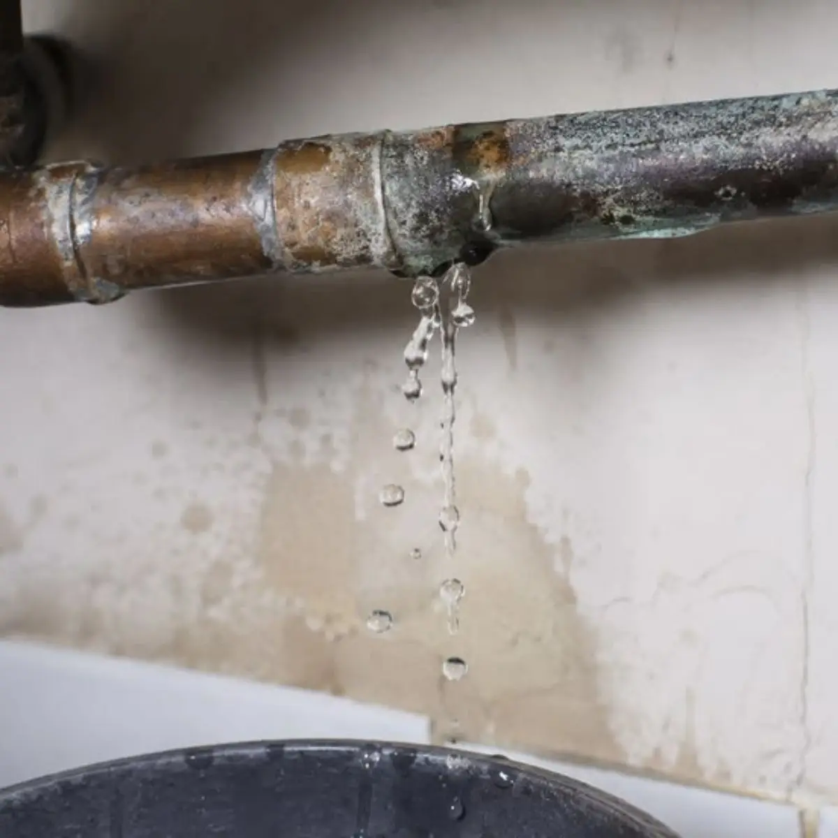 Water leak detection plumbers providing safe fixes of water leaks throughout Sydney